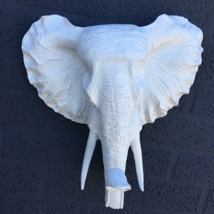 Beautiful white elephant head wall ornament, beautiful!!